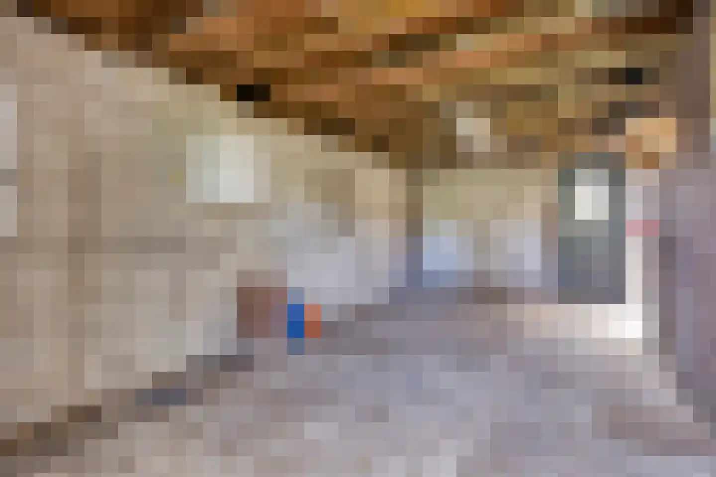 Vereweg 1 Oostwoud thumbnail 8