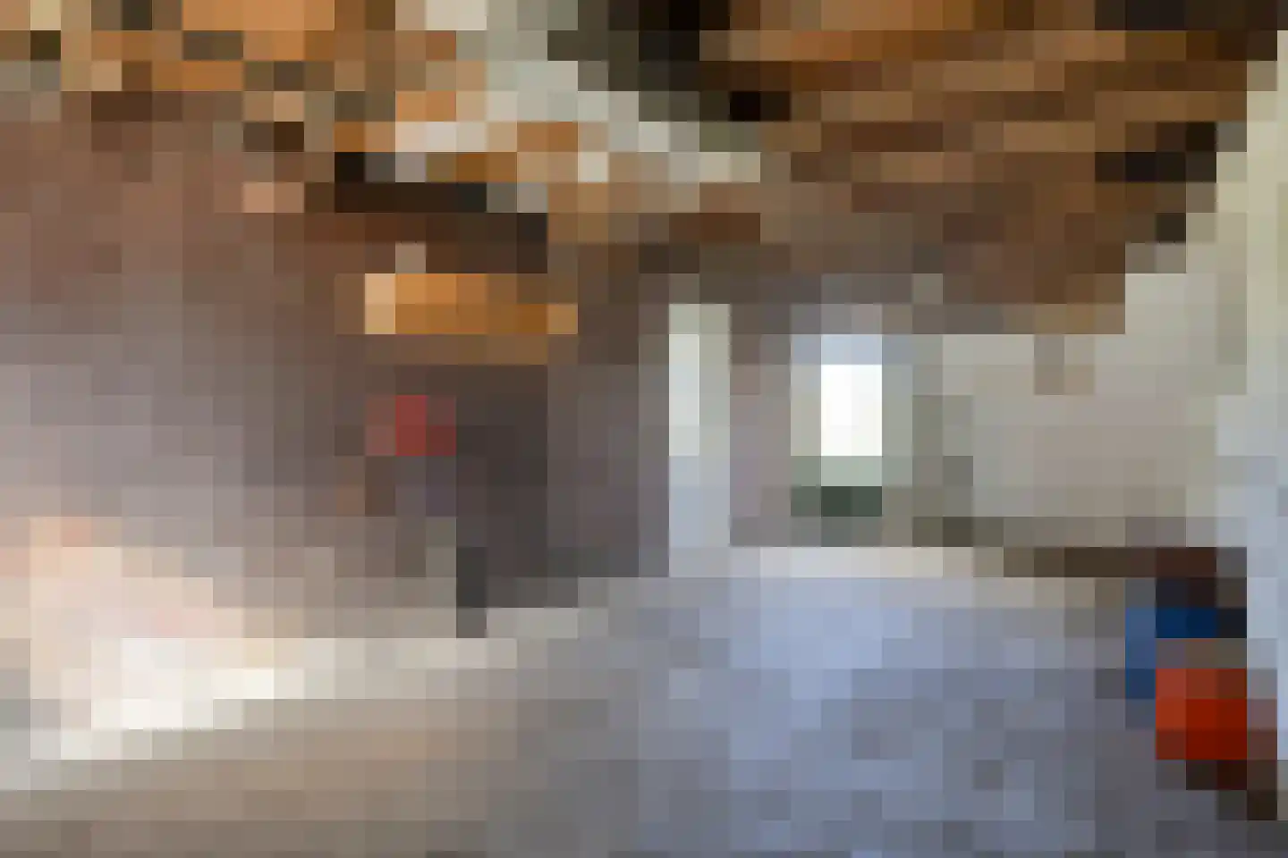 Vereweg 1 Oostwoud thumbnail 9