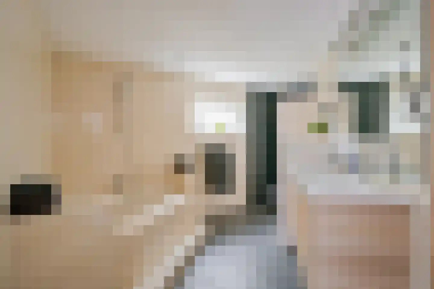 Vereweg 2 Oostwoud thumbnail 25