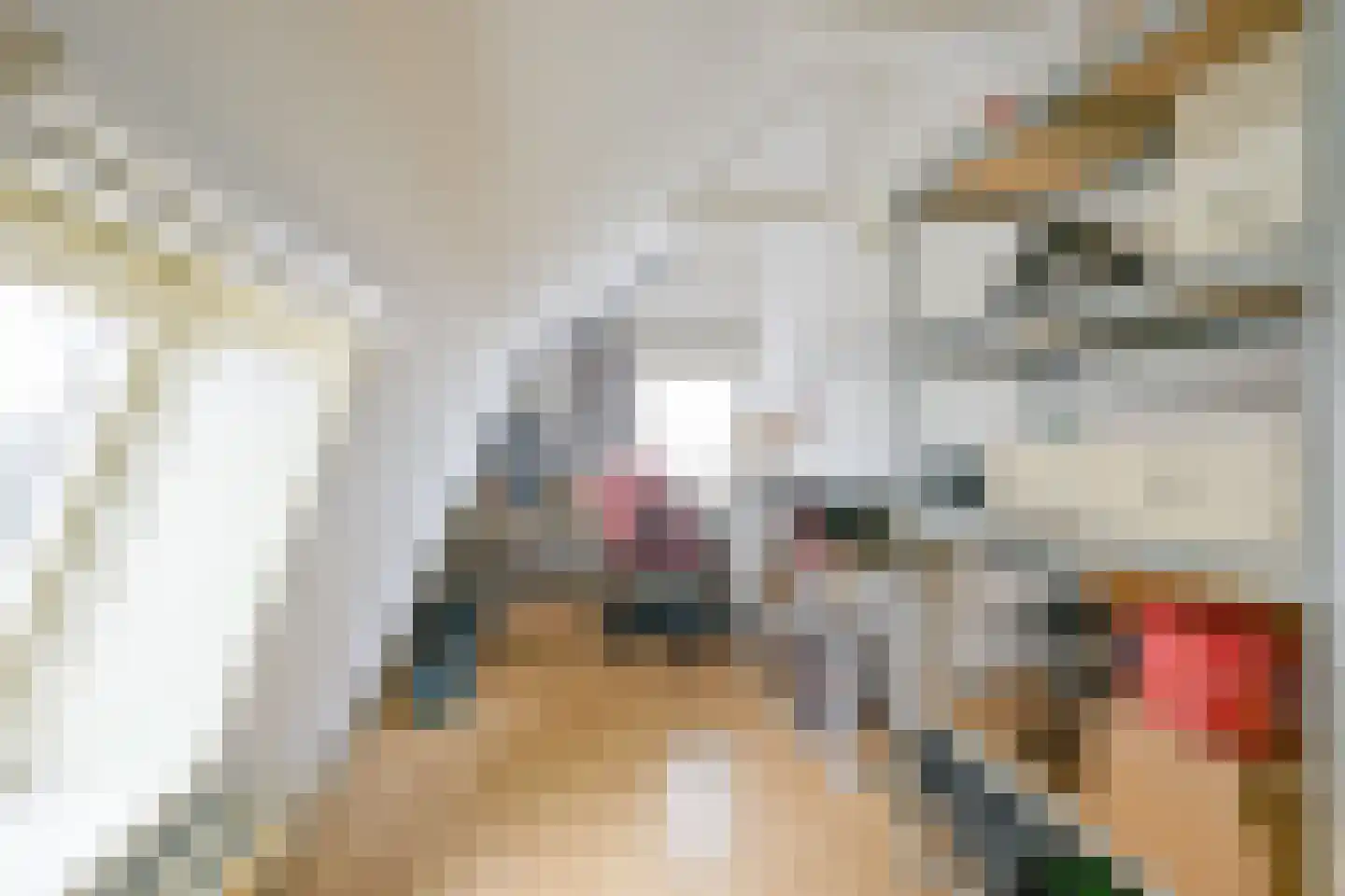 Vereweg 2 Oostwoud thumbnail 33