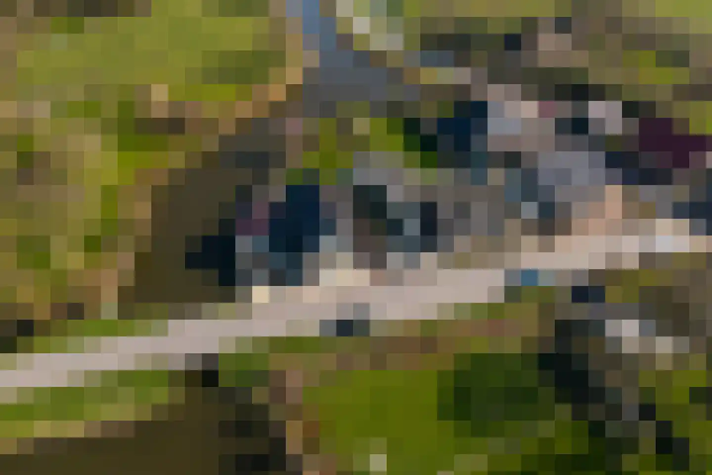 Vereweg 2 Oostwoud thumbnail 41