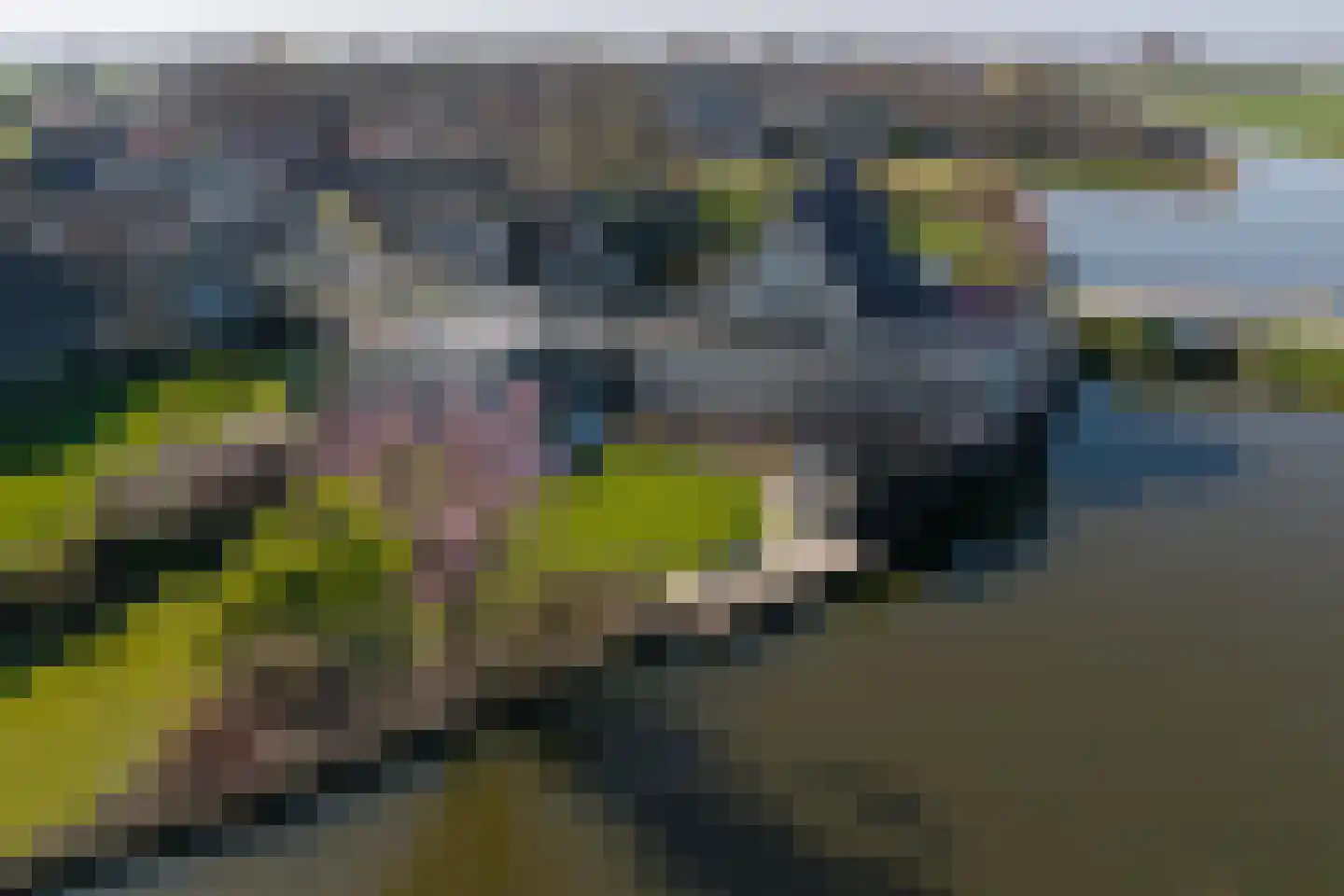 Vereweg 2 Oostwoud thumbnail 42