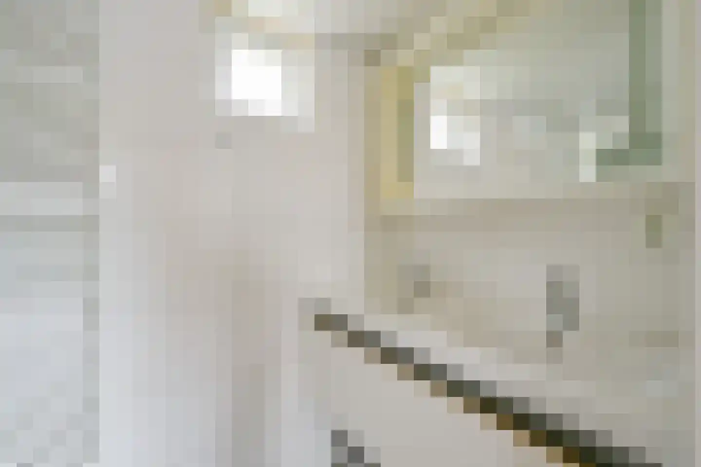 Vereweg 9 Oostwoud thumbnail 32