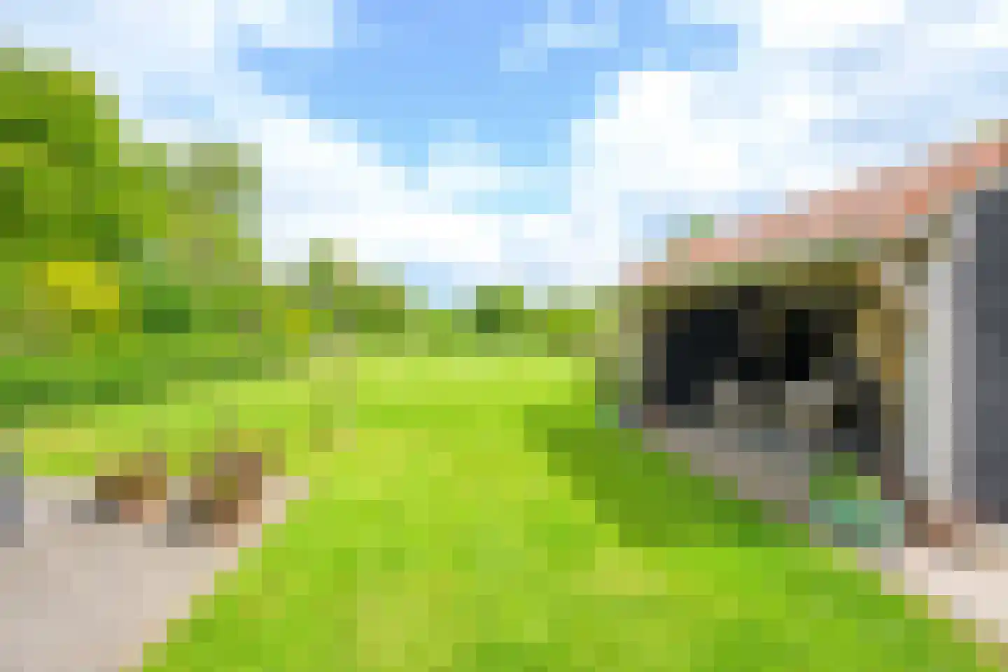 Vereweg 9 Oostwoud thumbnail 47