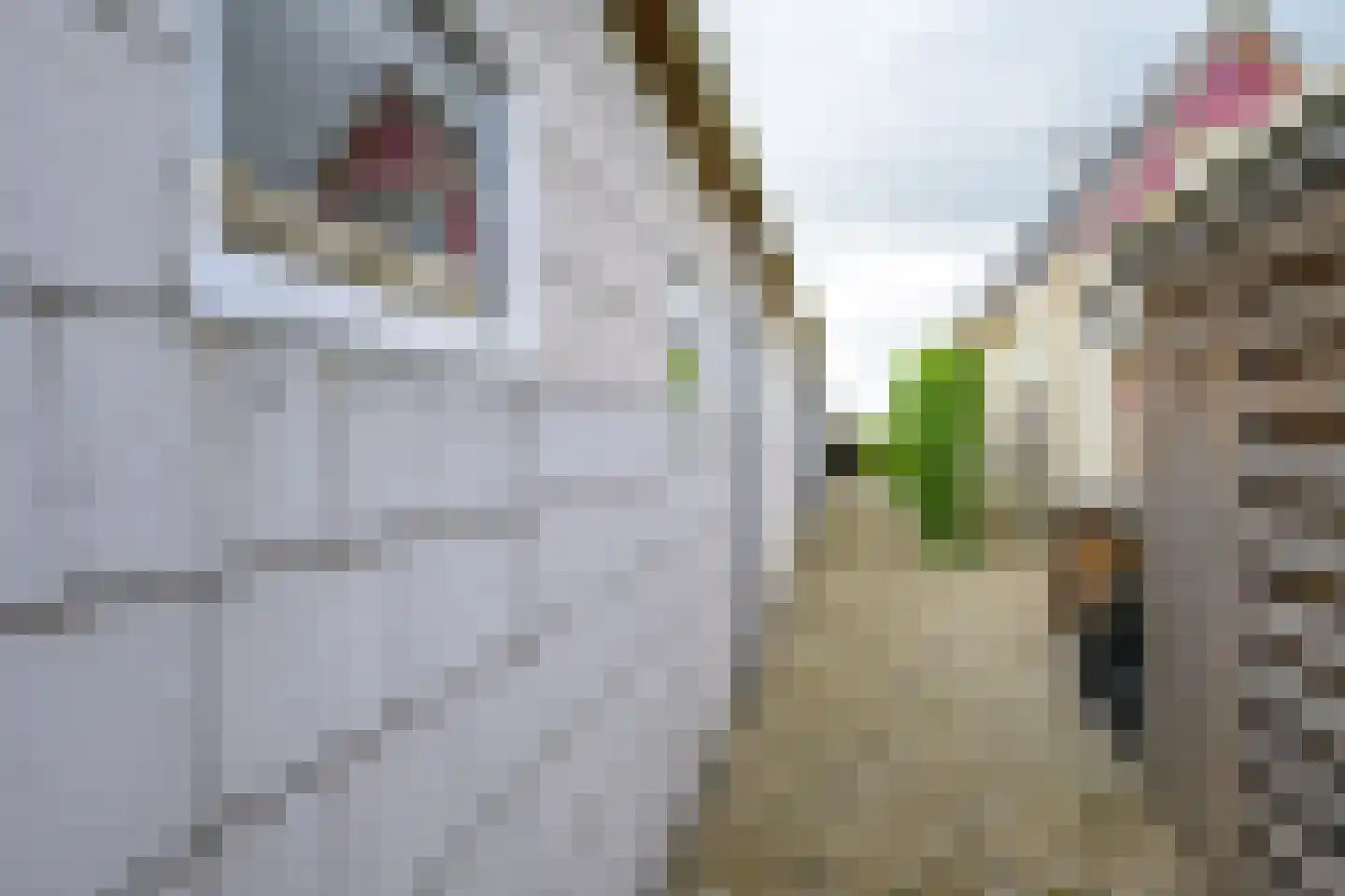 Vereweg 9 Oostwoud thumbnail 61