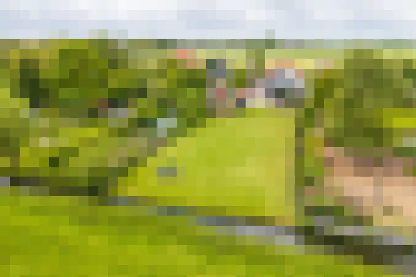 Vereweg 9 Oostwoud thumbnail 62