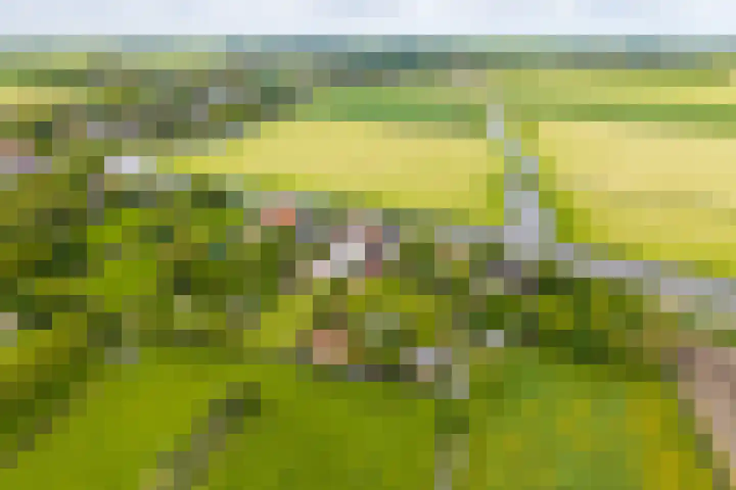 Vereweg 9 Oostwoud thumbnail 63