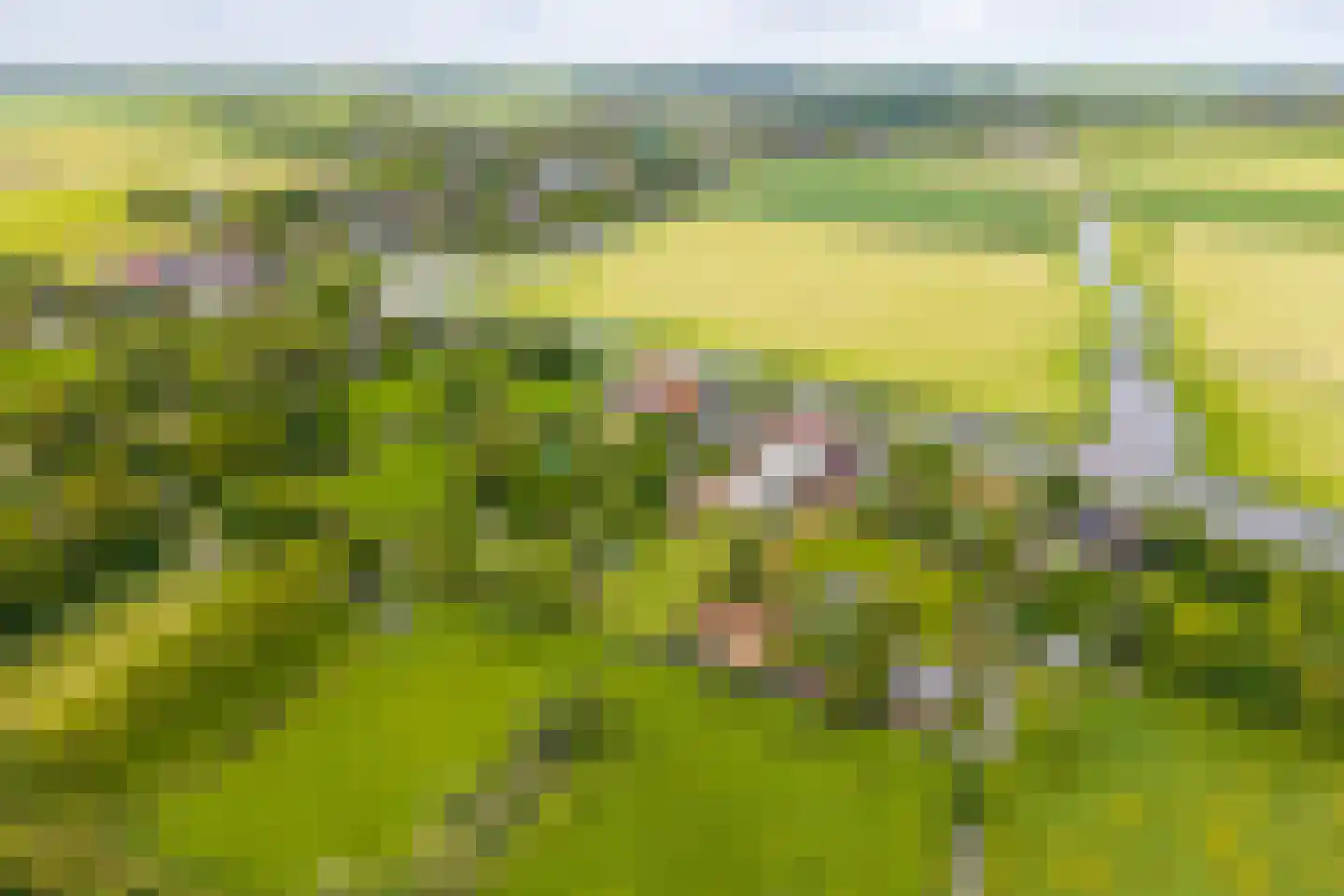Vereweg 9 Oostwoud thumbnail 64