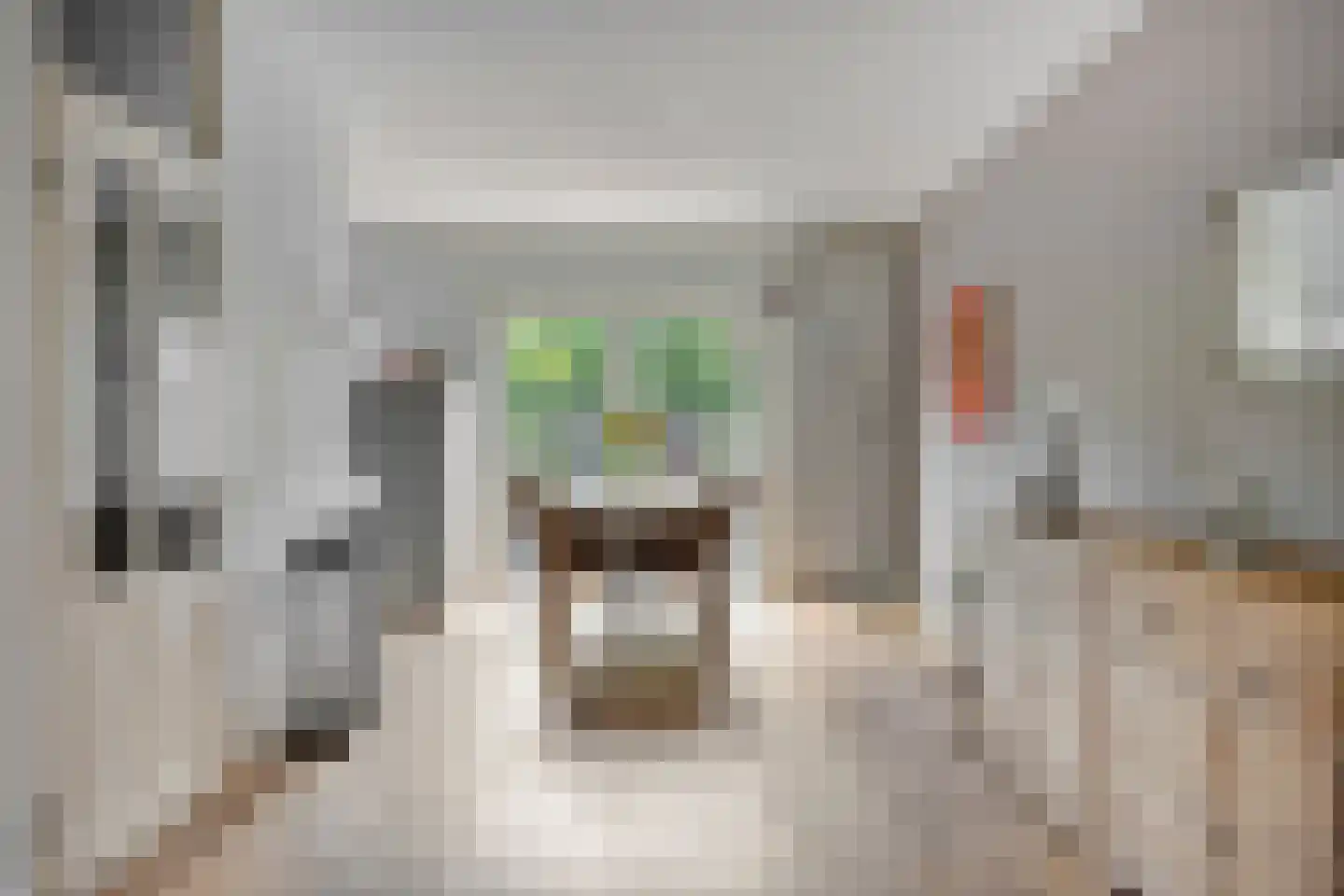 Verfmolen 12 Koog aan de Zaan thumbnail 10
