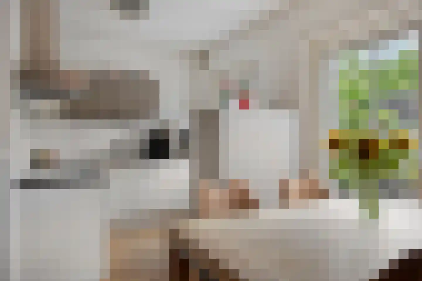 Verfmolen 12 Koog aan de Zaan thumbnail 12