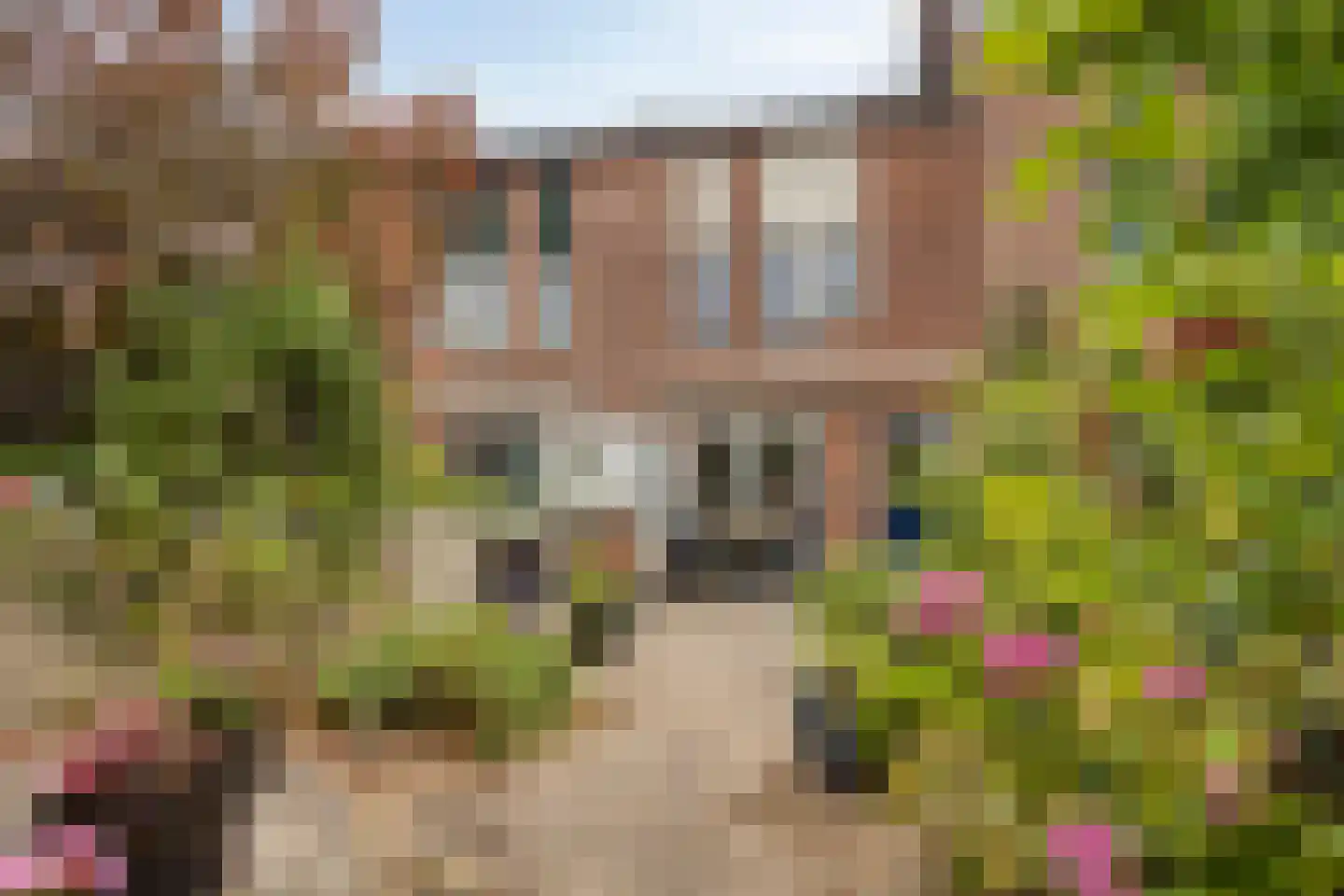 Verfmolen 12 Koog aan de Zaan thumbnail 34