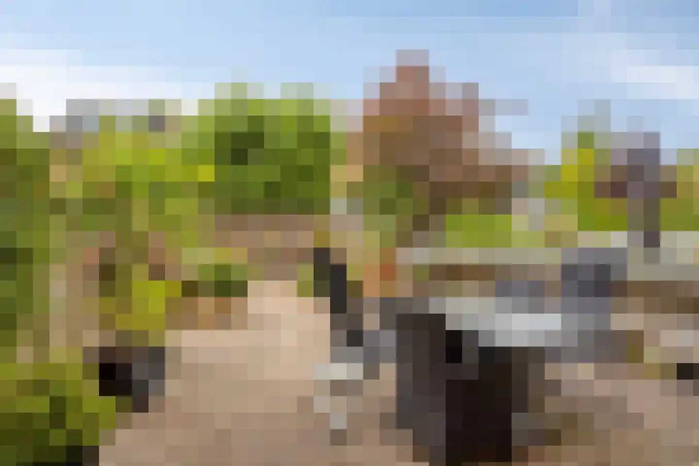 Verfmolen 12 Koog aan de Zaan thumbnail 4