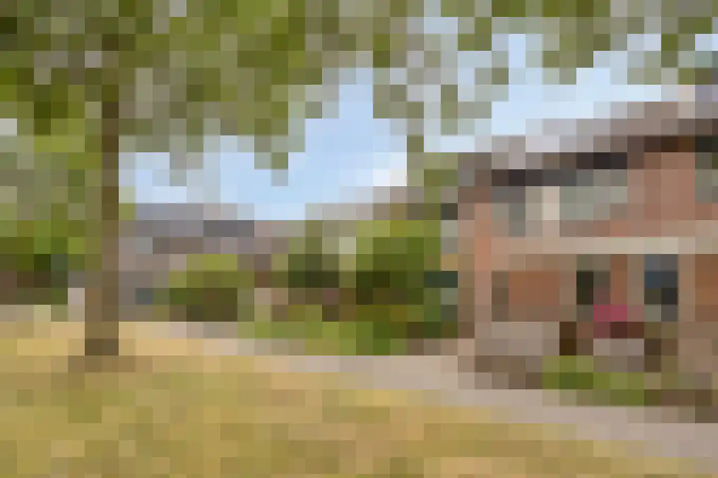 Verfmolen 12 Koog aan de Zaan thumbnail 40