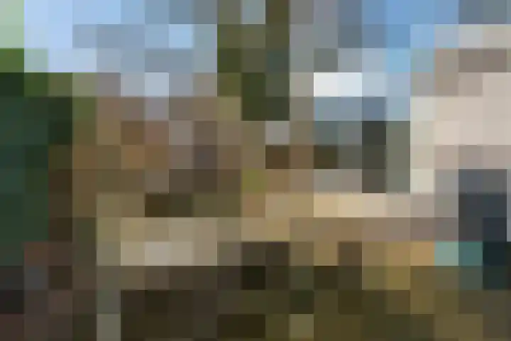 Verfmolen 15 Maassluis thumbnail 40