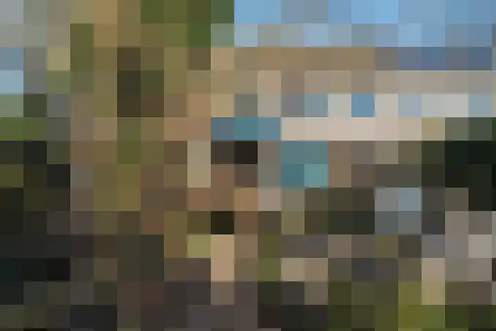 Verfmolen 15 Maassluis thumbnail 42