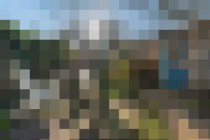 Verfmolen 15 Maassluis thumbnail 44