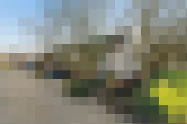 Verfmolen 15 Maassluis thumbnail 48