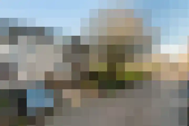 Verfmolen 15 Maassluis thumbnail 49