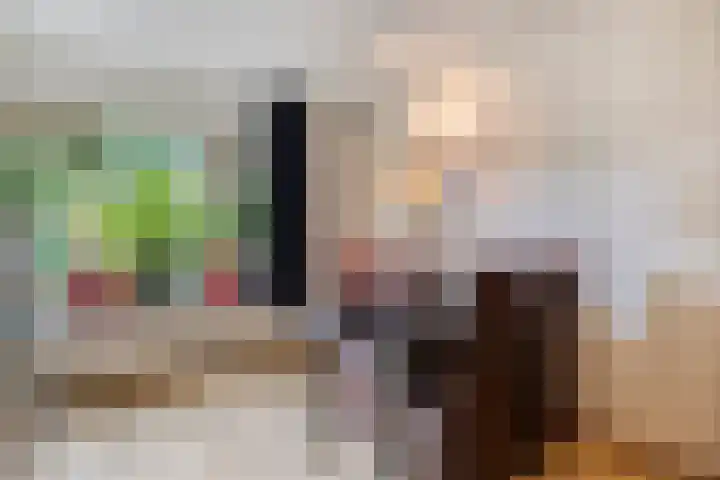Verfmolen 18 Koog aan de Zaan thumbnail 12