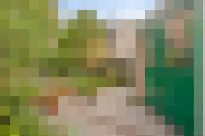 Verfmolen 18 Koog aan de Zaan thumbnail 36