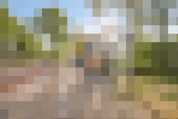 Verfmolen 18 Koog aan de Zaan thumbnail 38