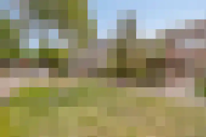 Verfmolen 18 Koog aan de Zaan thumbnail 42