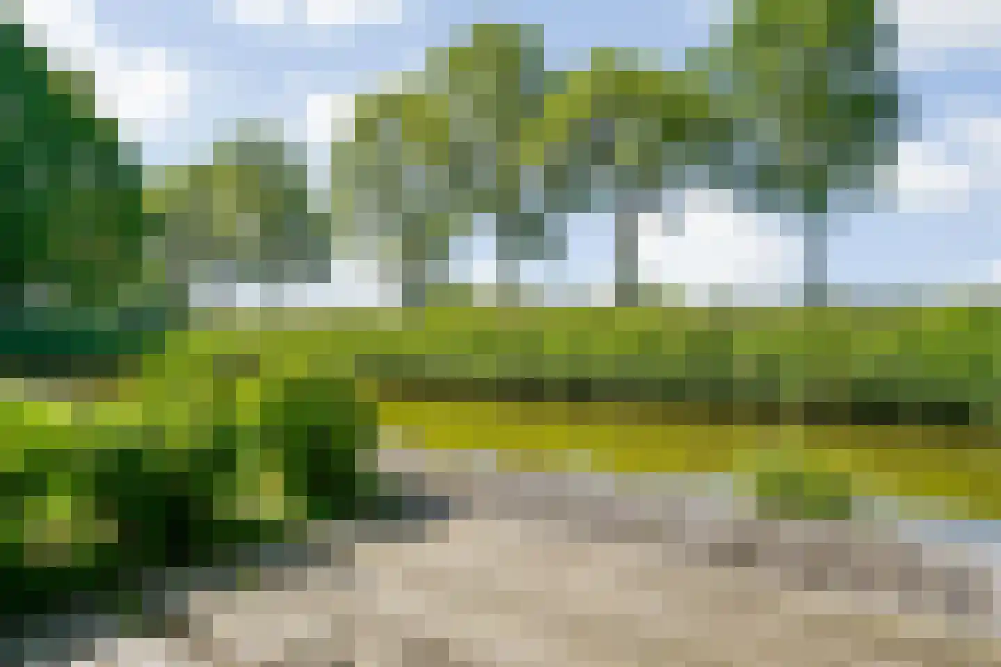Verfmolen 20 Mijdrecht thumbnail 60