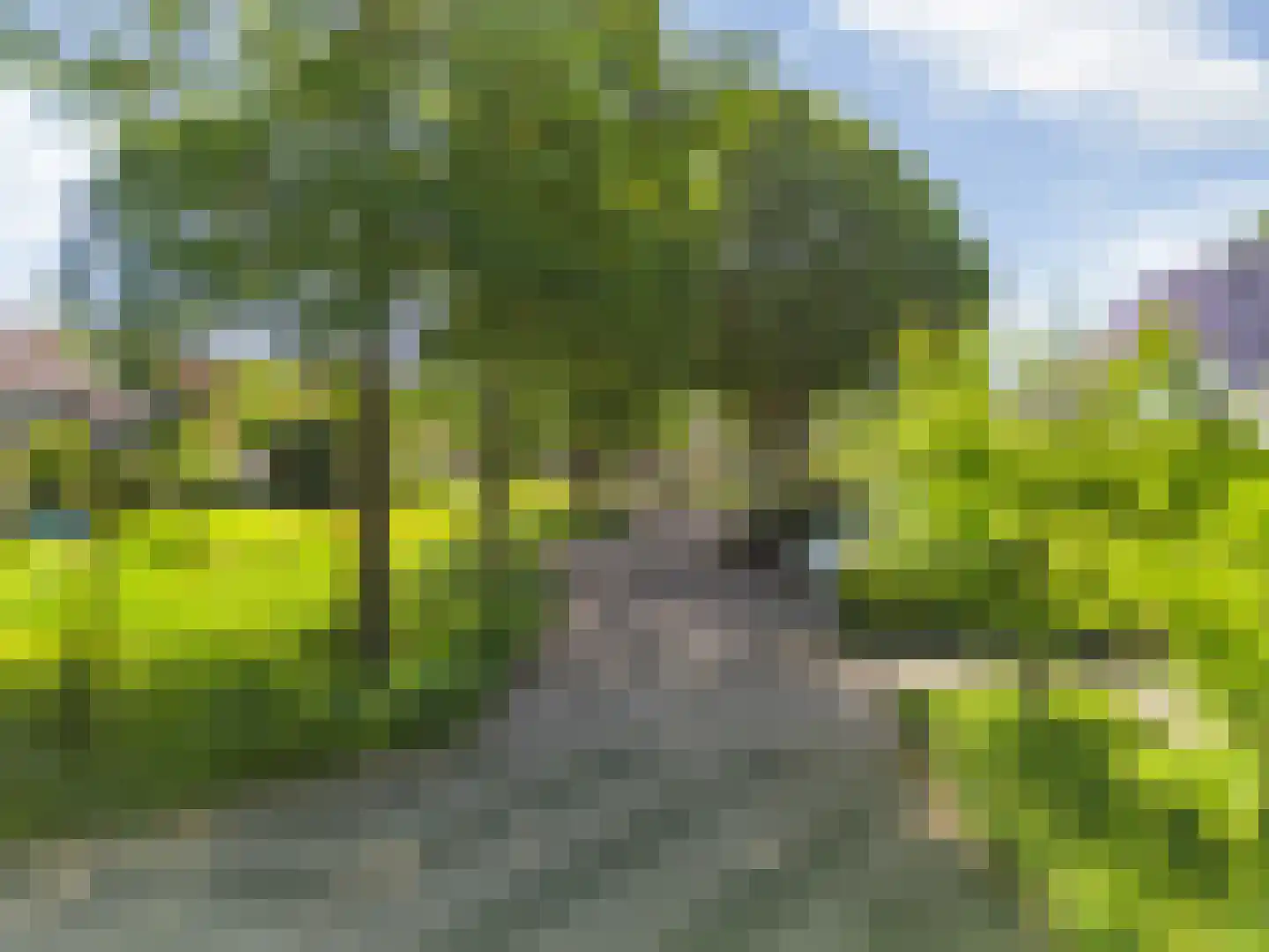Verfmolen 20 Mijdrecht thumbnail 64