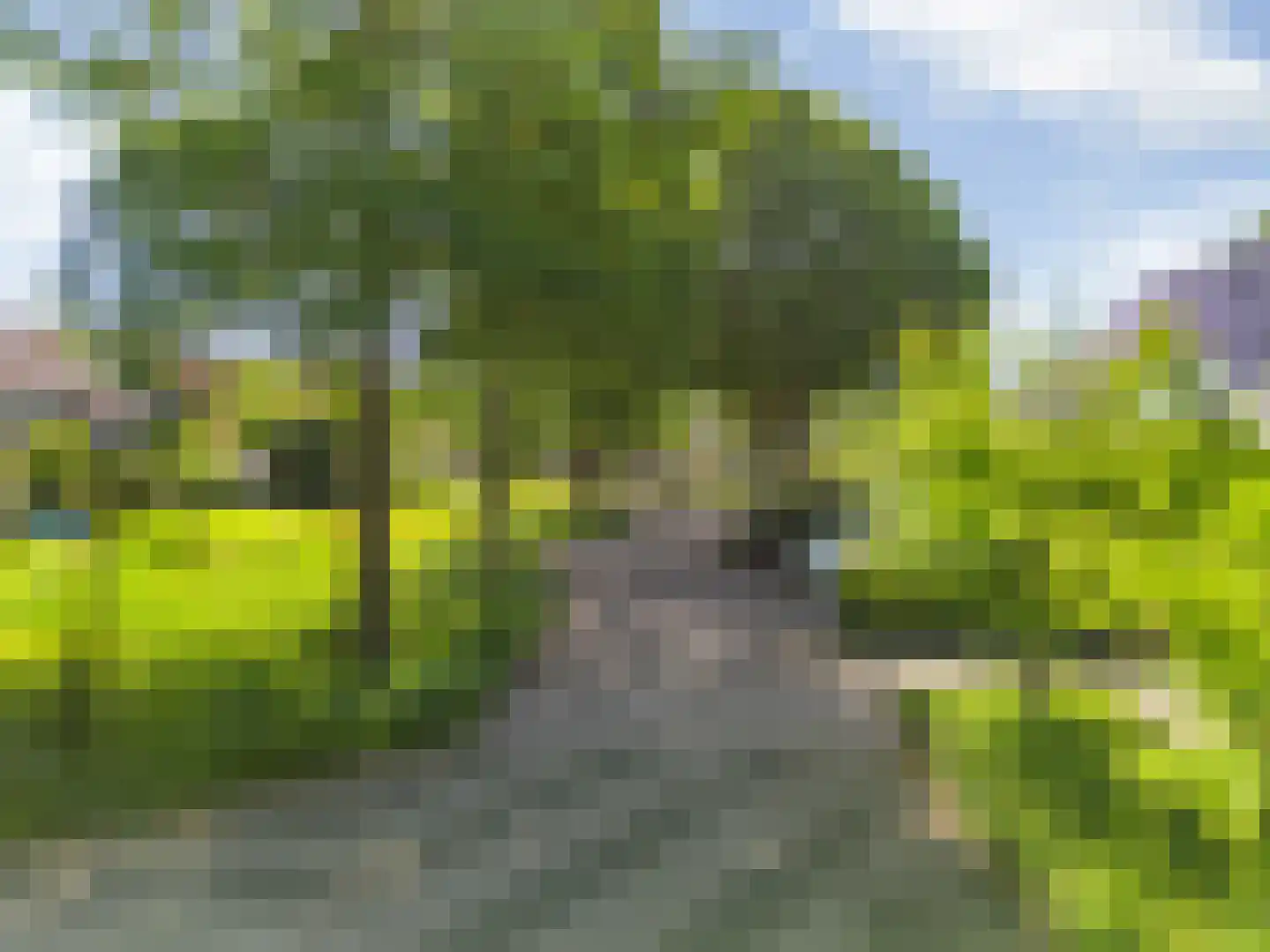 Verfmolen 20 Mijdrecht thumbnail 66