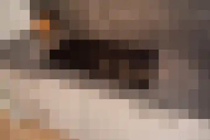 Verfmolen 3 Delft thumbnail 13
