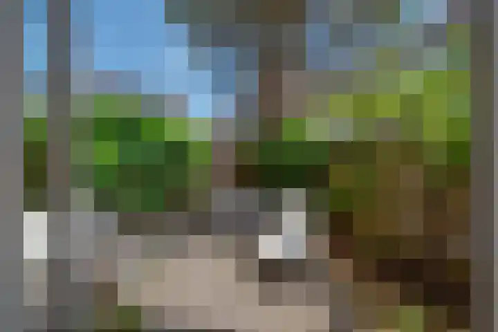Verfmolen 3 Delft thumbnail 21