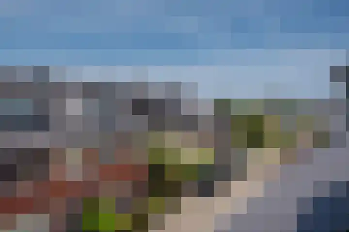 Verfmolen 3 Delft thumbnail 41