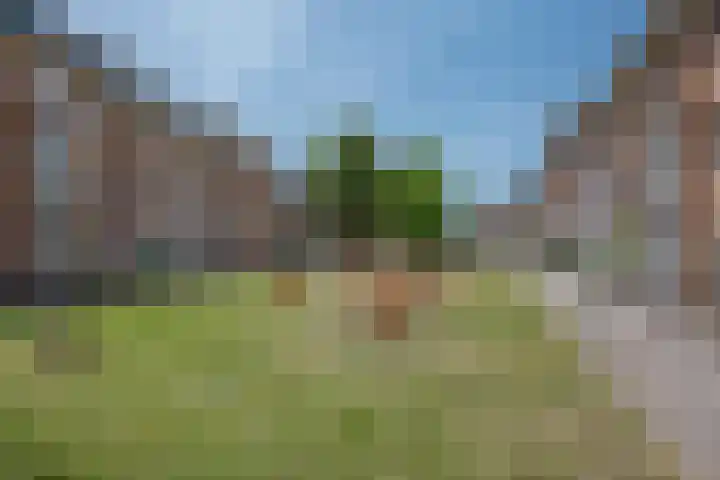 Verfmolen 3 Delft thumbnail 42