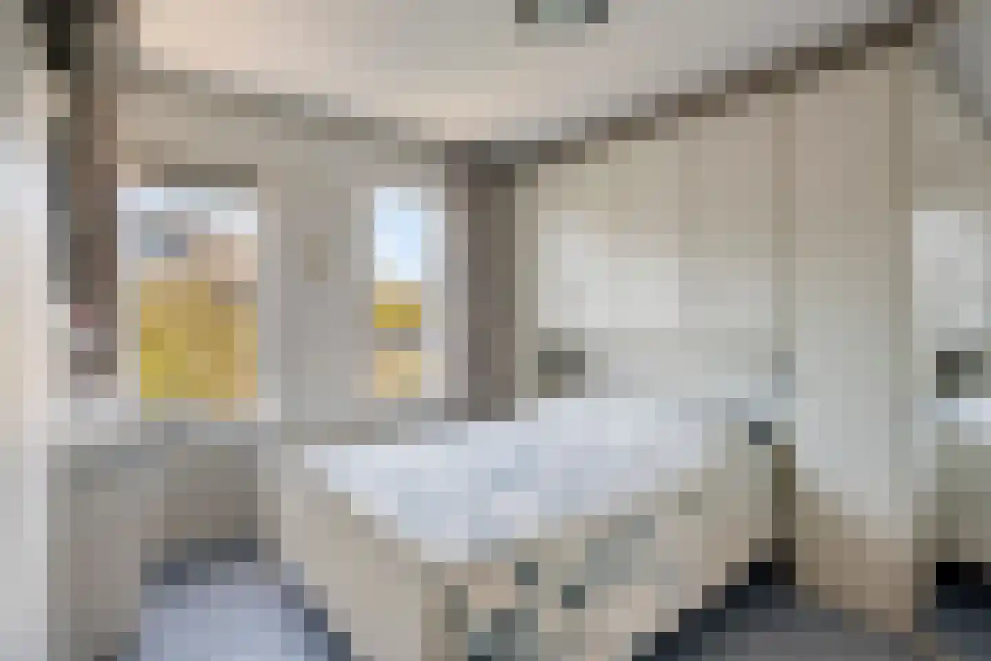 Verfmolen 4 Koog aan de Zaan thumbnail 20