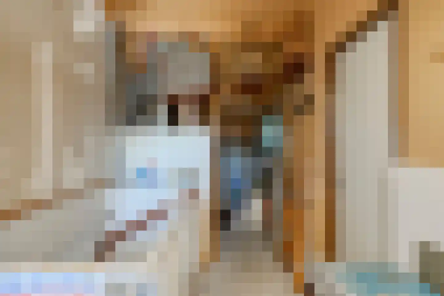 Verfmolen 4 Koog aan de Zaan thumbnail 33