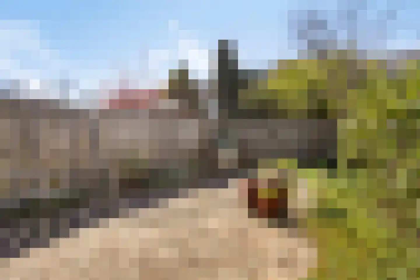 Verfmolen 4 Koog aan de Zaan thumbnail 37