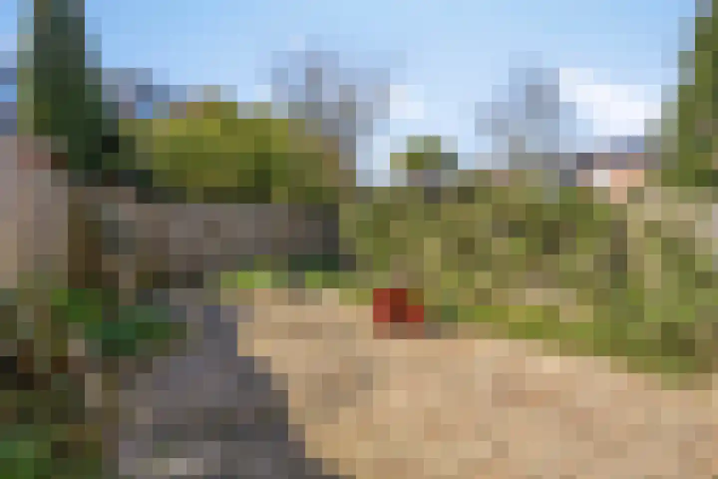 Verfmolen 4 Koog aan de Zaan thumbnail 39