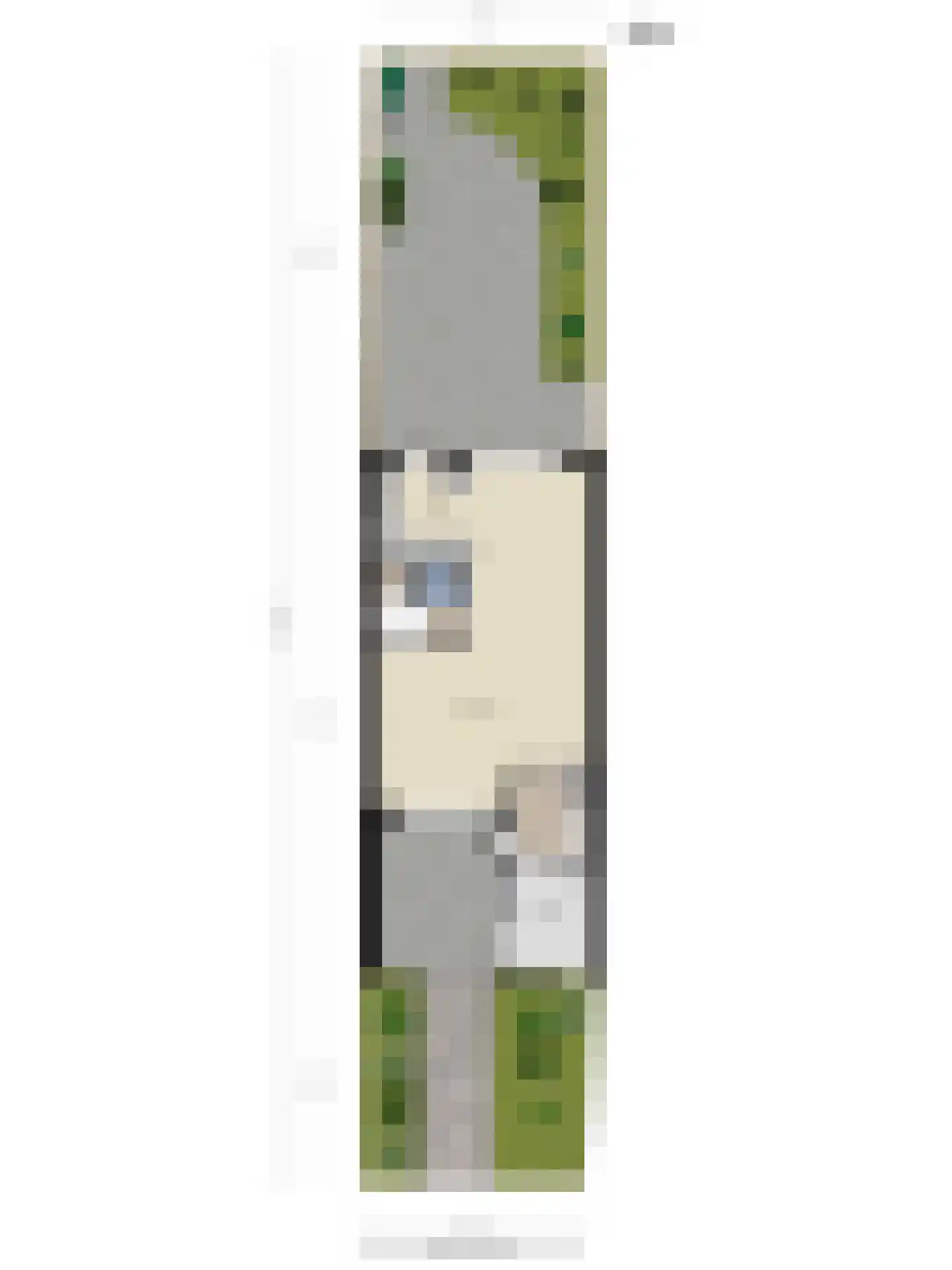Verfmolen 4 Koog aan de Zaan thumbnail 41