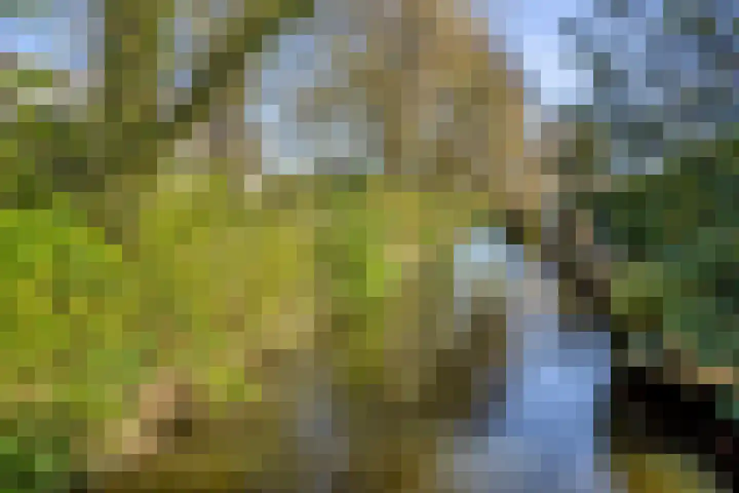 Verfmolen 4 Koog aan de Zaan thumbnail 47