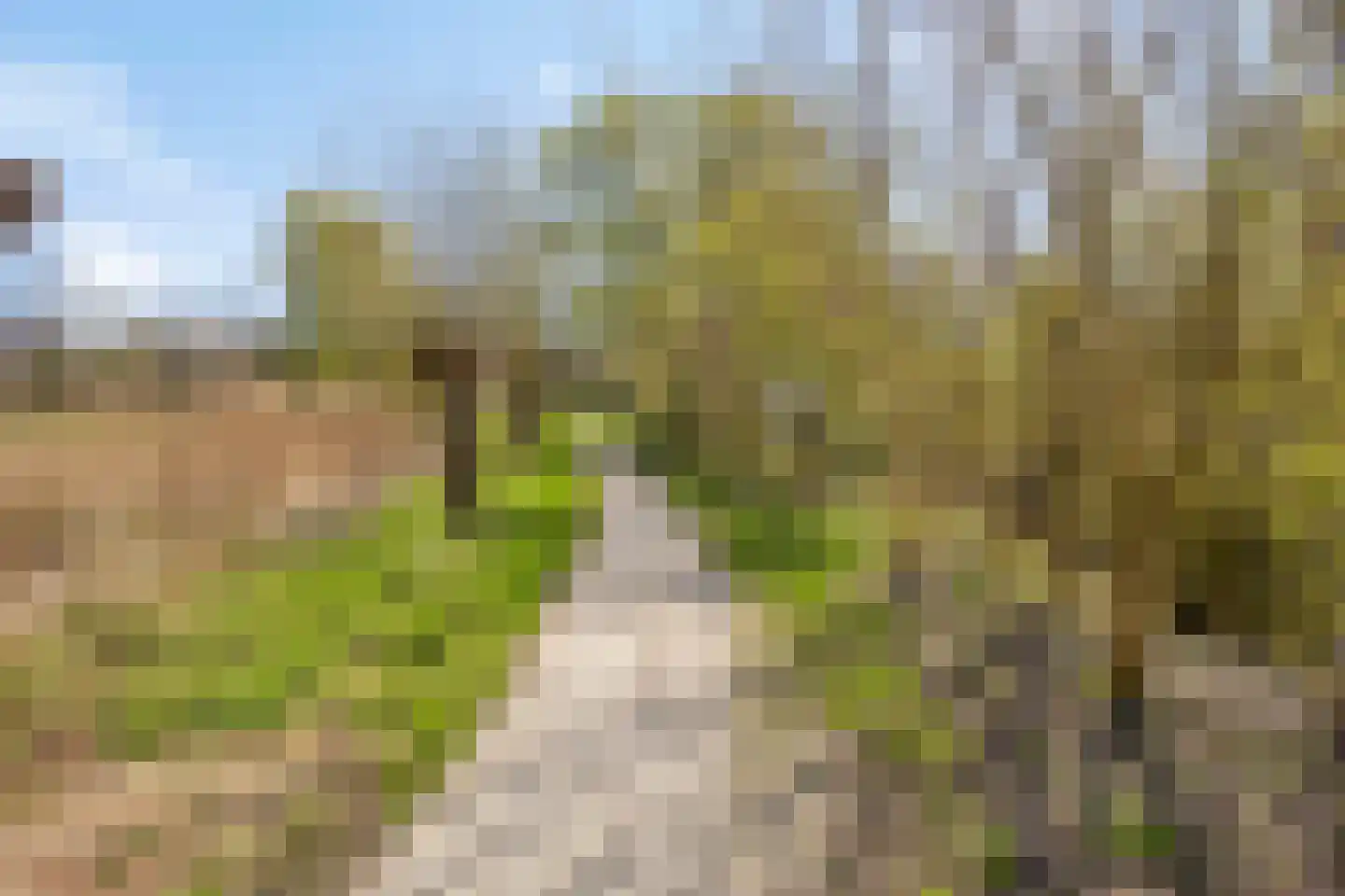 Verfmolen 4 Koog aan de Zaan thumbnail 48