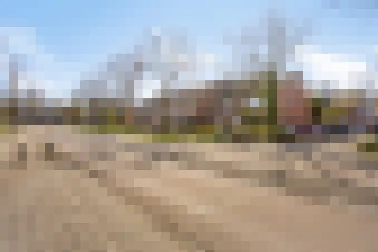 Verfmolen 4 Koog aan de Zaan thumbnail 50