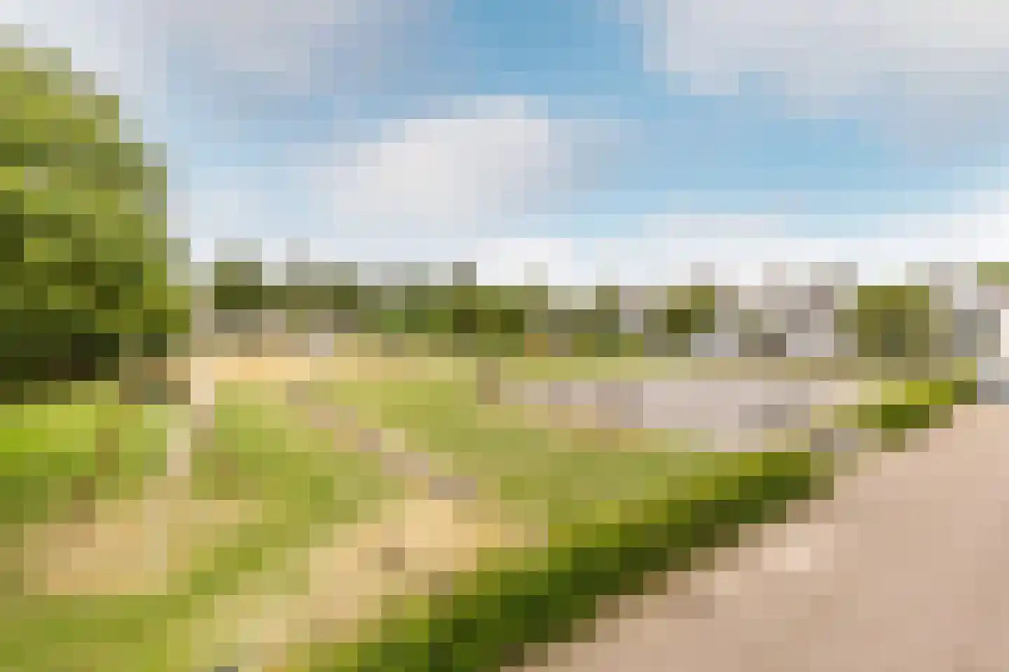 Verfmolen 4 Maassluis thumbnail 29