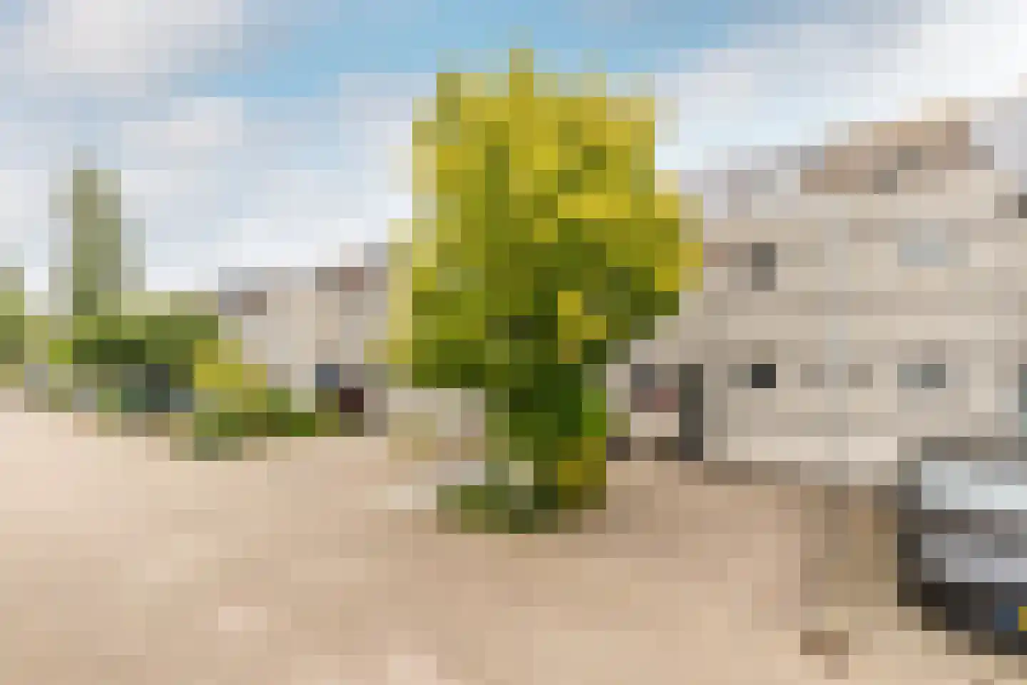 Verfmolen 4 Maassluis thumbnail 30