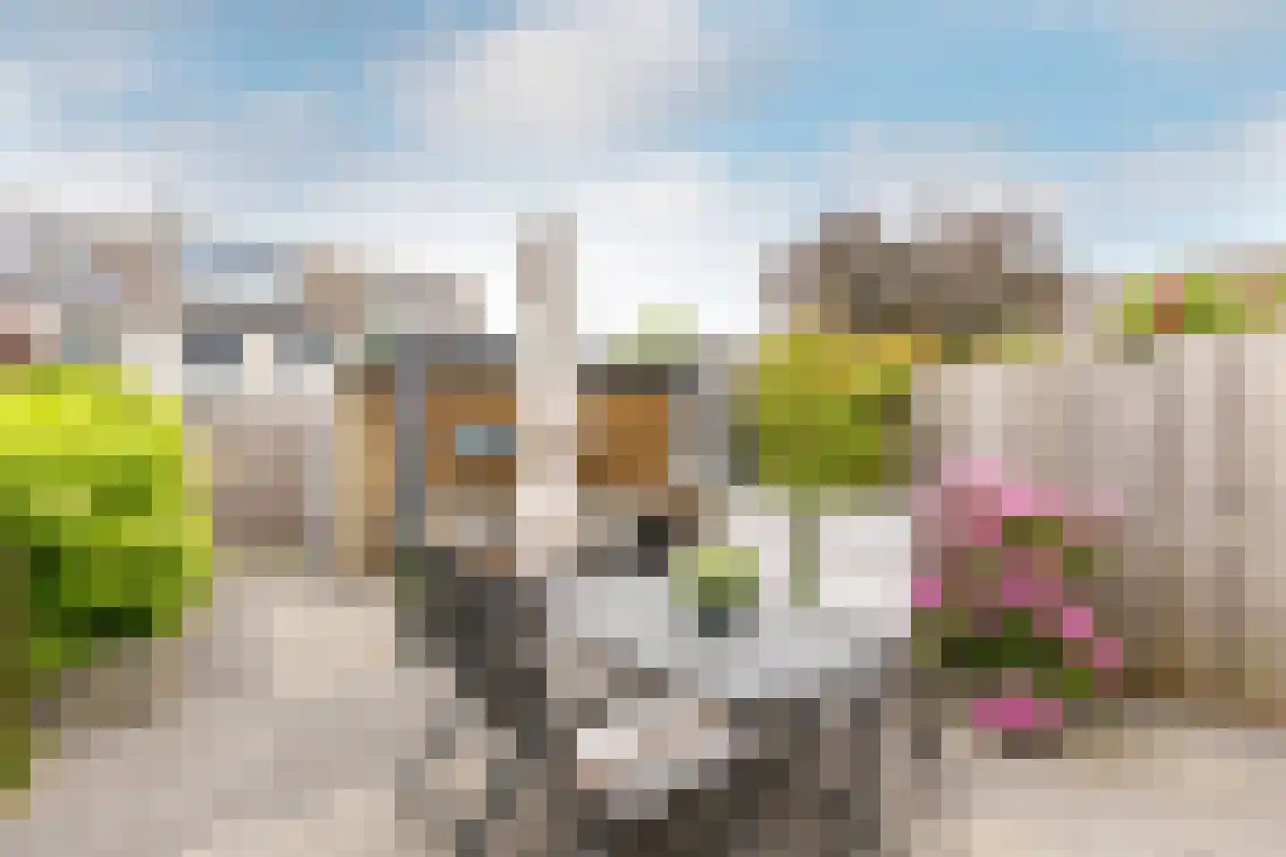 Verfmolen 4 Maassluis thumbnail 4