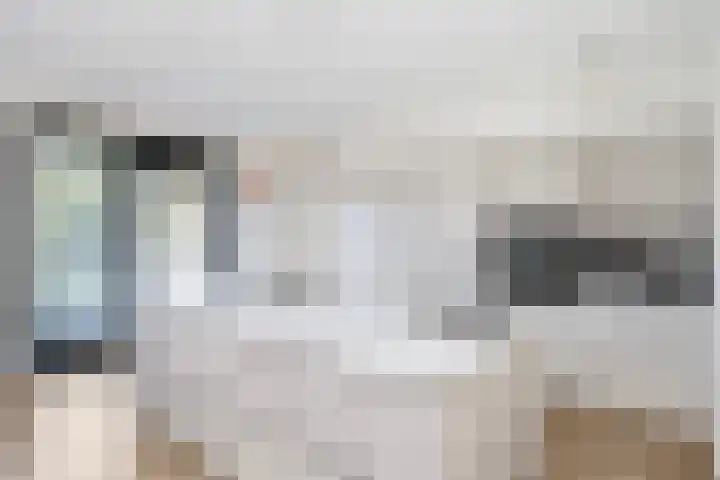 Verfmolen 4 Zwolle thumbnail 10