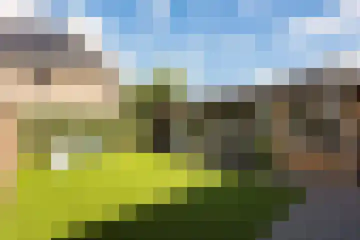 Verfmolen 4 Zwolle thumbnail 14