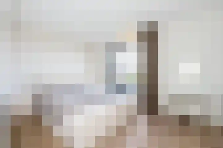 Verfmolen 4 Zwolle thumbnail 21
