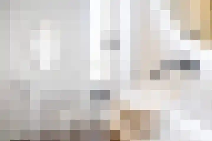 Verfmolen 4 Zwolle thumbnail 23