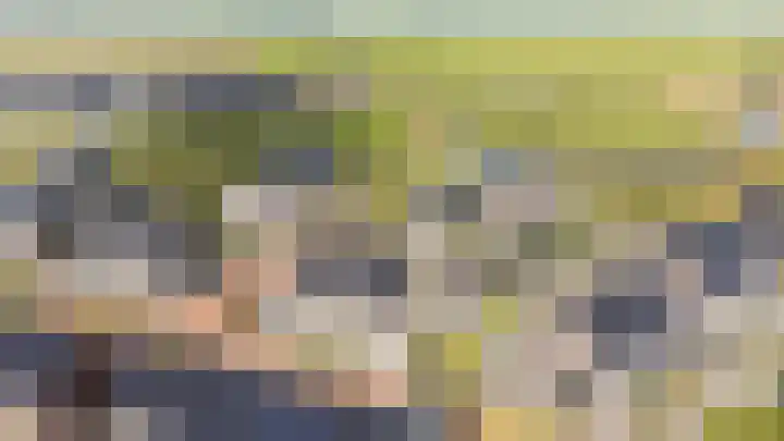 Verfmolen 4 Zwolle thumbnail 30