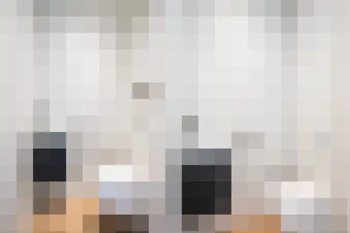 Verfmolen 4 Zwolle thumbnail 5